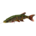 savage gear 4D Line Thru Pike 14.5" Striped Pike