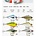 Rapala Rippin Rap RPR06 YP