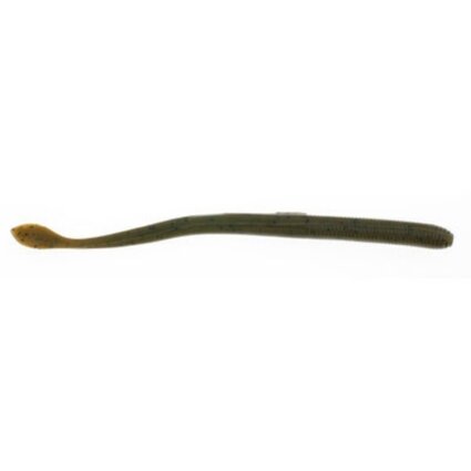 berkely Nightcrawler Green Pumpkin