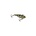 JOHNSON Johnny Darter JYD2-BGD