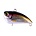 Acme STUBZ 1.25 CRAZY HORSE