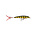 Rapala X-Rap 08 Live Perch