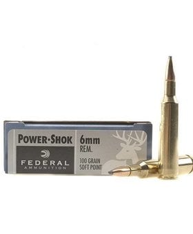 Federal 6mm rem Power shok 100 gr sp