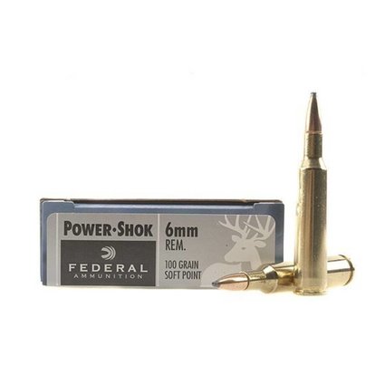 Federal 6mm rem Power shok 100 gr sp