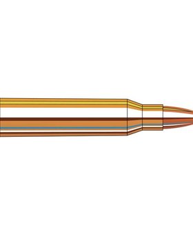 Hornady 223 Rem 53 Gr V-Max SPF