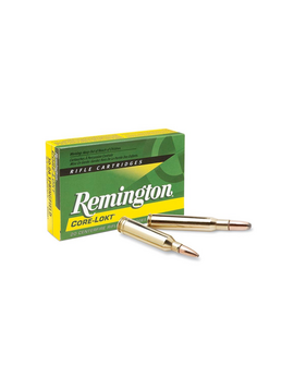 Remington 308 win 180gr SP