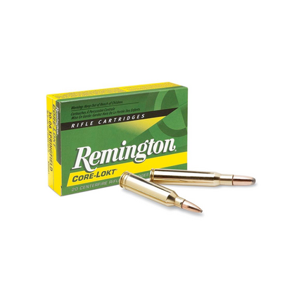Remington 308 win 180gr SP