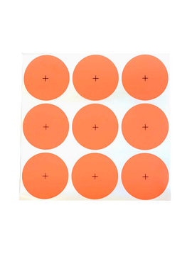 Thompson 2" Targets
