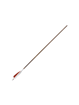 Victory Trad 600 Bamboo 6pk fletched