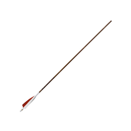 Victory Trad Bamboo 350 6pk fletched