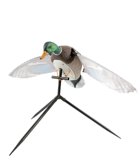 SILLOSOCKS DRAKE MALLARD FLAPPER