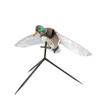 SILLOSOCKS DRAKE MALLARD FLAPPER