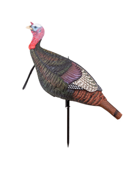 MAD Shady Baby Walking Tom