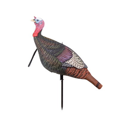 MAD Shady Baby Walking Tom