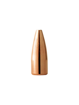Barnes 22 Cal 40gr Varminator HP FB