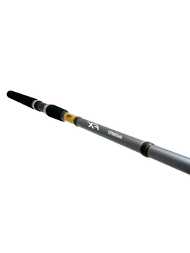 Shimano FX 6'6" 2P FAST