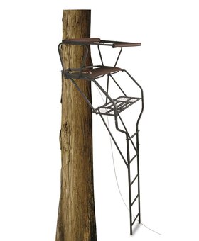 MaxGrip Double Ladderstand