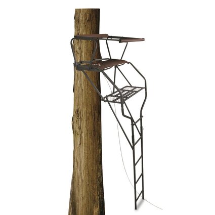 MaxGrip Double Ladderstand
