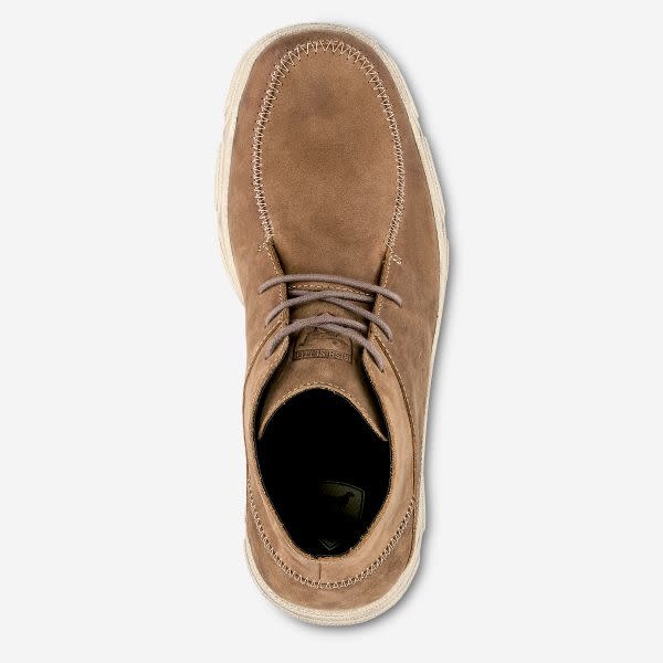 irish setter traveler chukka