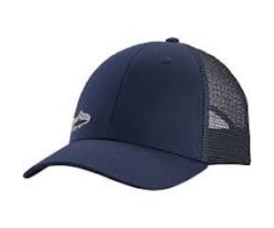 patagonia hat fish
