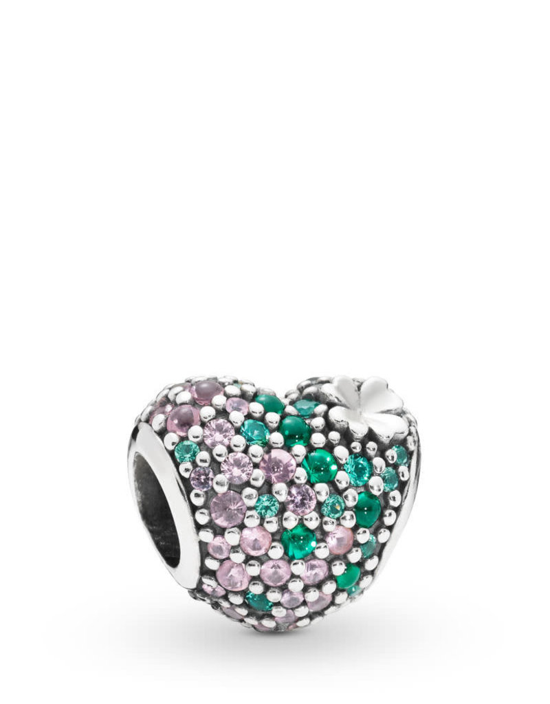 charm pandora pandora charm pandora pandora
