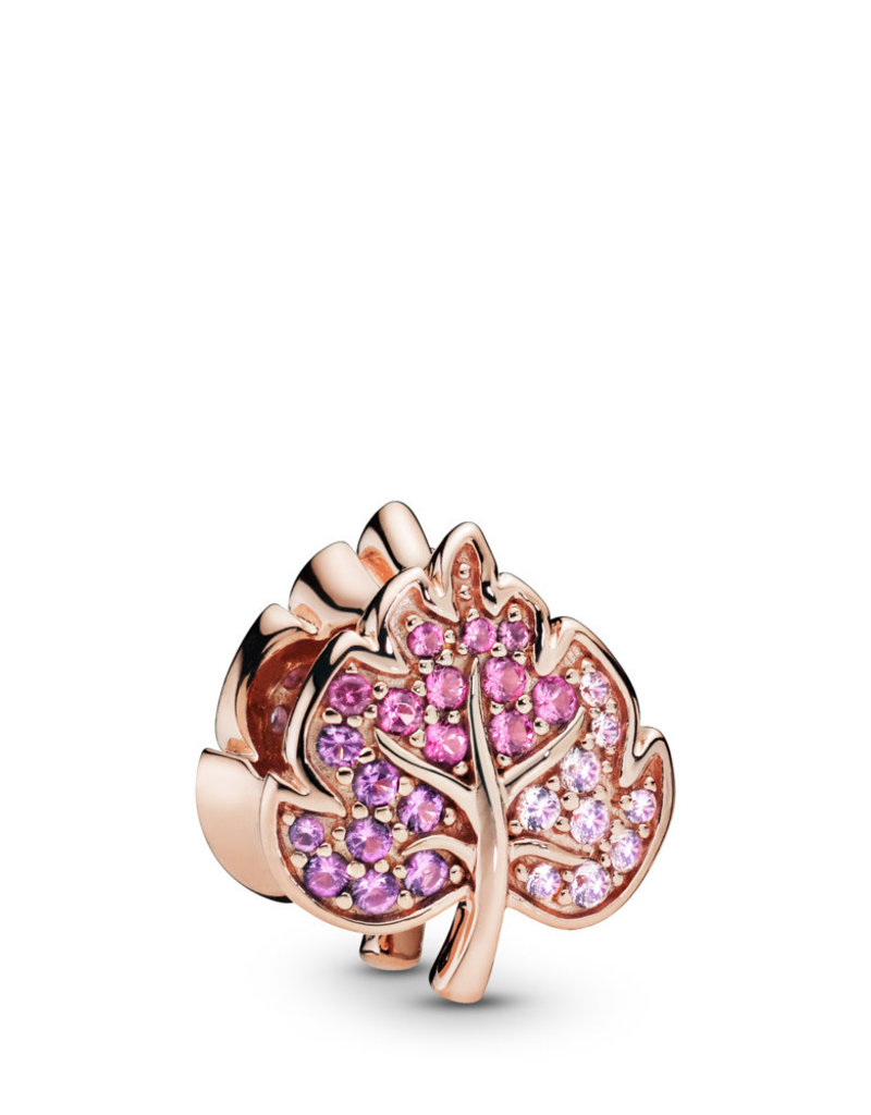 charm pandora pandora charm pandora pandora