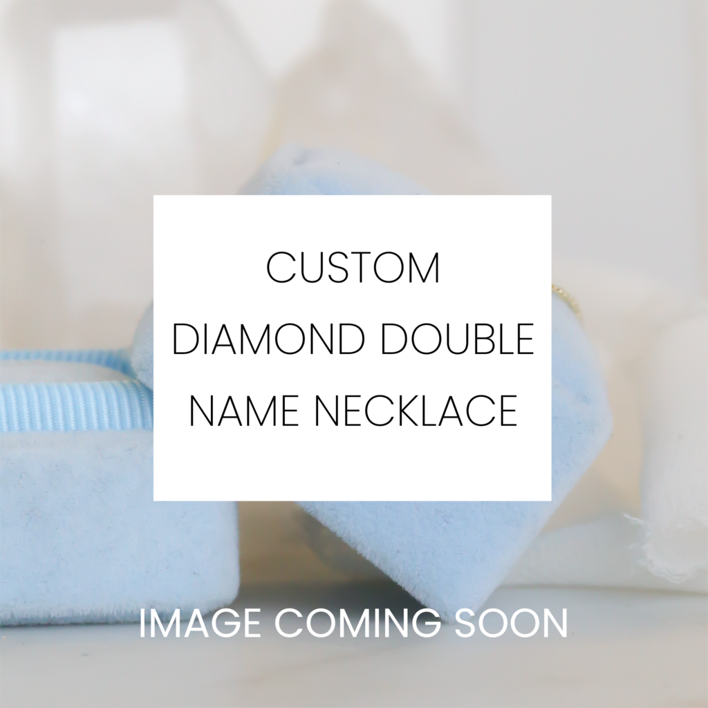 American Jewelry Custom Diamond Double Name Necklace
