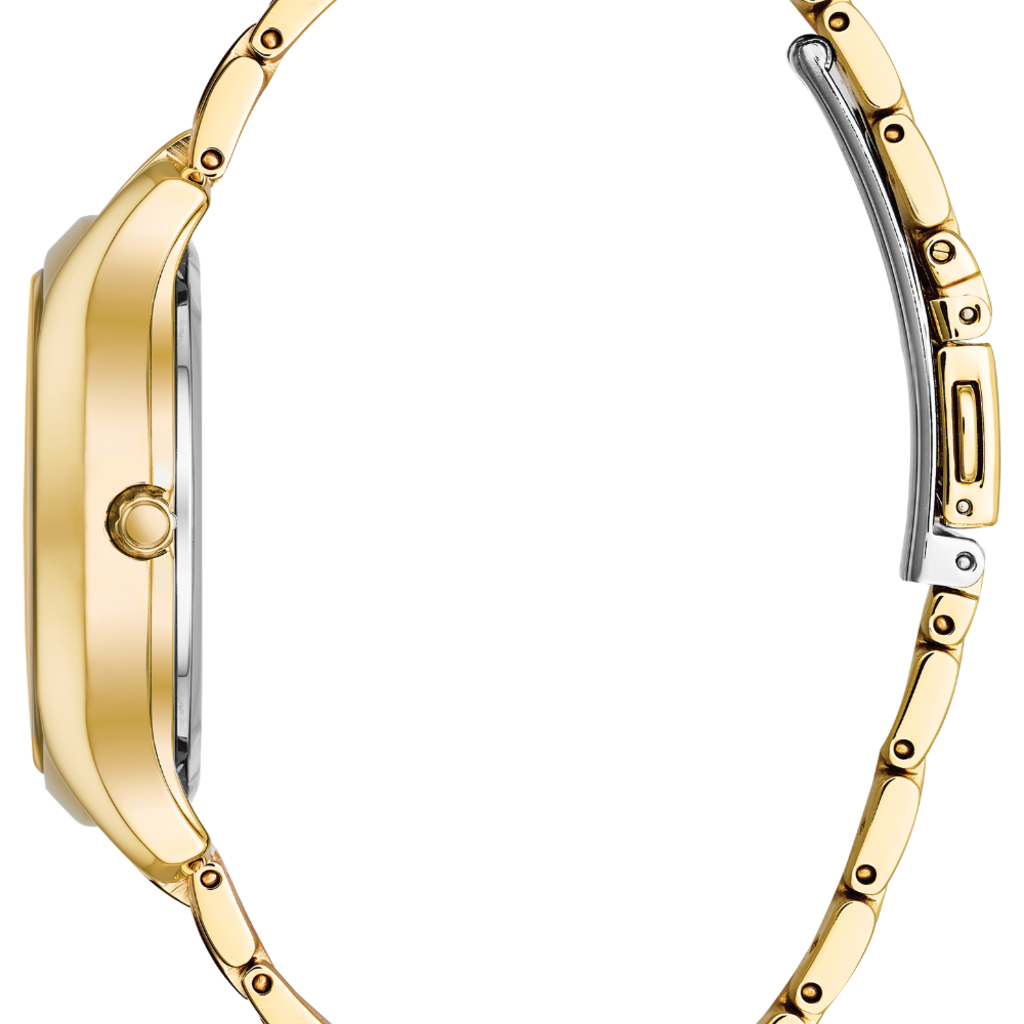 Citizen Citizen Eco-Drive Chandler Ladies Gold Tone Watch with Champagne Dial