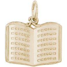 American Jewelry 14k Yellow Gold Open Book Charm