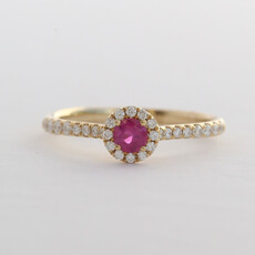 American Jewelry 14k Yellow Gold .19ctw Diamond Ruby Halo Ring