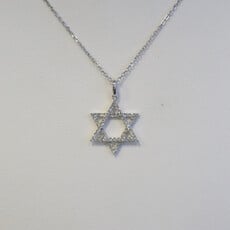 American Jewelry 14k White Gold .14ctw Diamond Star of David Necklace