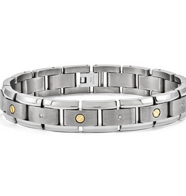 Titanium and 14k Yellow Gold .25ctw Diamond Accented Gents Bracelet