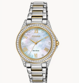 Citizen Citizen Eco-Drive Ladies Sport Casual Two Tone Watch