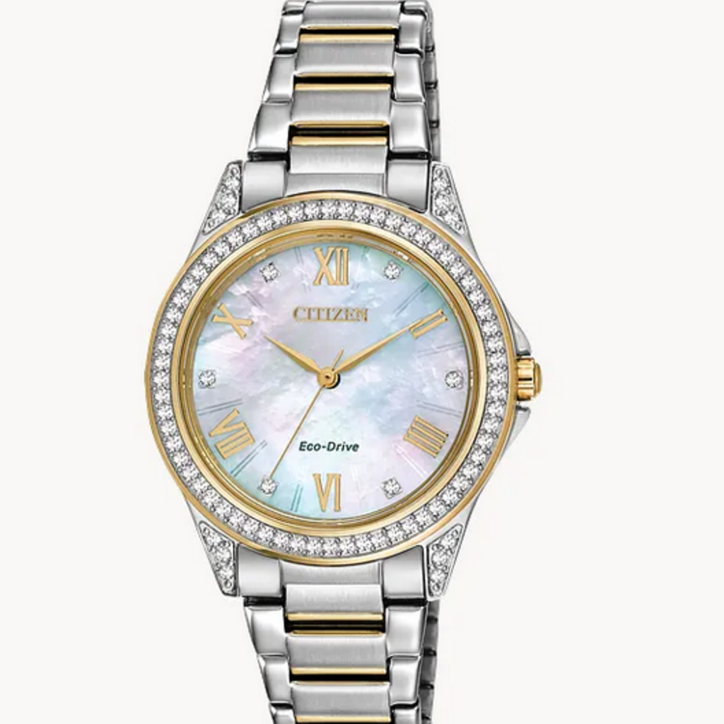 Citizen Citizen Eco-Drive Ladies Sport Casual Two Tone Watch