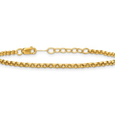14k Yellow Gold-Filled 2.5mm Rolo Link Bracelet (6"-7")