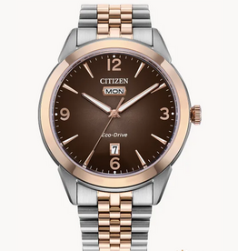 Citizen Citizen Eco-Drive Two Tone Rolan Watch w/ Brown Dial