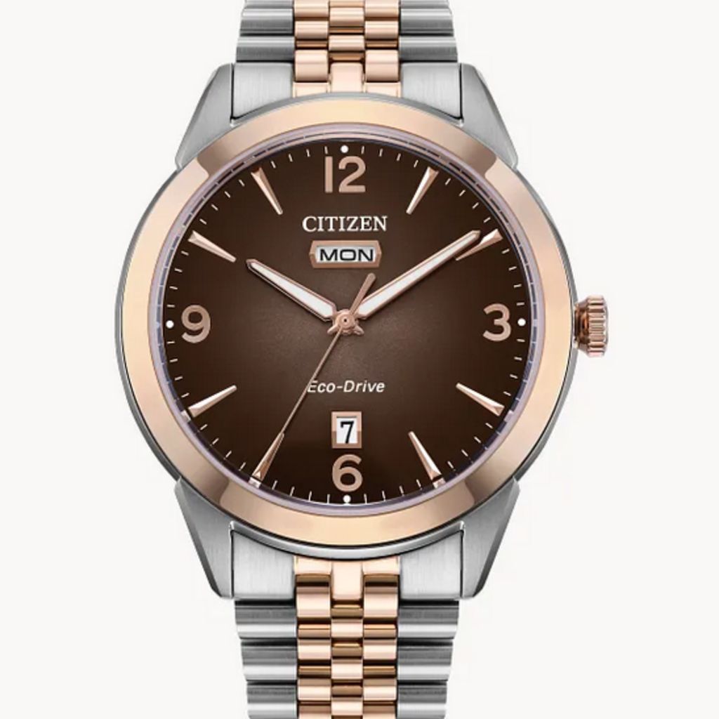 Citizen Citizen Eco-Drive Two Tone Rolan Watch w/ Brown Dial