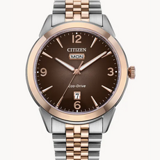 Citizen Citizen Eco-Drive Two Tone Rolan Watch w/ Brown Dial