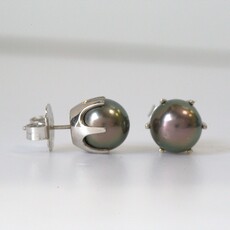 American Jewelry ESTATE 18k White Gold 10mm Tahitian Pearl Stud Earrings