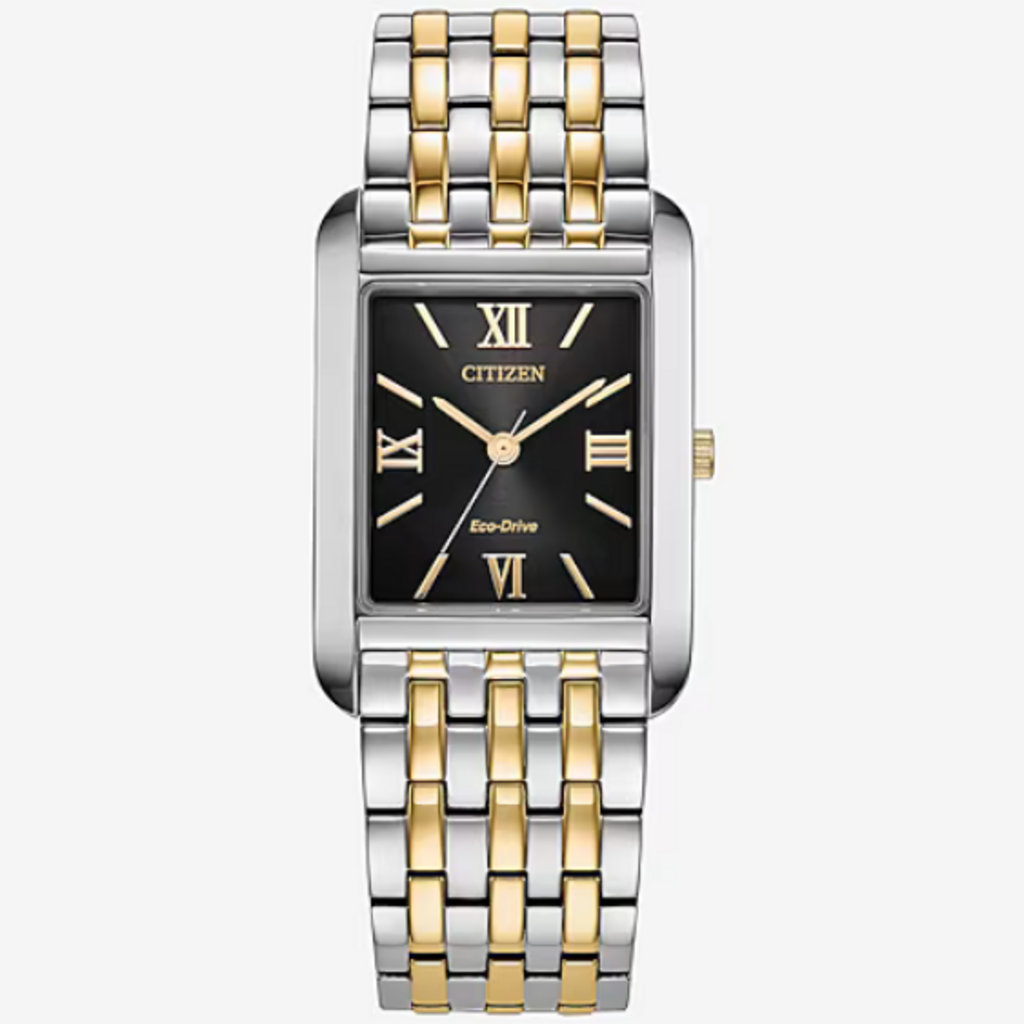 Citizen Citizen Two-Tone  Eco-Drive Classic Mens Watch w/ Black Dial