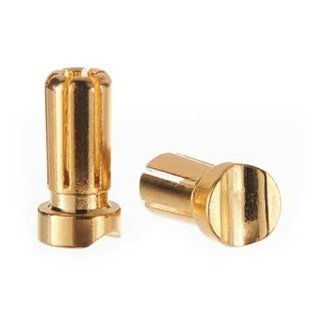 TQ Wire TQW2509  5mm Gold Plated 13mm Short Bullet (2)