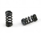 Serpent SER401713  Spring grey C10.9 4-X (2)