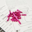 Hiro Seiko 48520  Hiro Seiko M17 Light Weight Screw Set (Pink)
