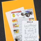 XXX Main M058L Skulls Paint Mask Kit