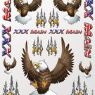 XXX Main S010  Eagles Sticker Sheet