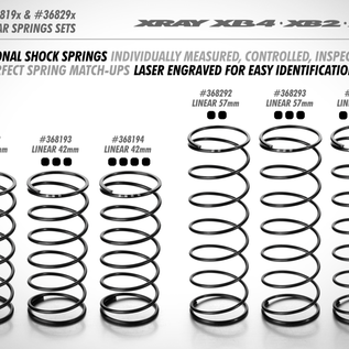 Xray XRA368175  Front Spring-Set L=40mm Progressive - 2 Stripes (2) for XB2 XB4 XT2 XT4
