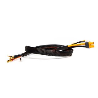 Spektrum SPMXCA316  5mm Bullet Smart Battery Charge Cable: IC3 Battery