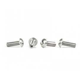 Avid RC AV1813  1/8 Scale Titanium Domed Droop Screws (4)