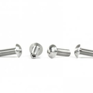 Avid RC AV1813  1/8 Scale Titanium Domed Droop Screws (4)