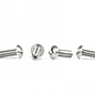 Avid RC AV1813  1/8 Scale Titanium Domed Droop Screws (4)
